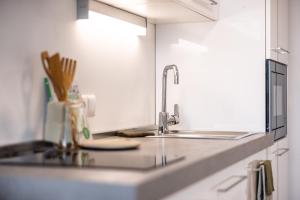 多恩比恩Smart Living Dornbirn的厨房柜台设有水槽和水槽