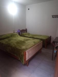 圣萨尔瓦多德朱Hostal Tía Dora的配有绿床单的客房内的两张床