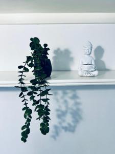 伦敦Cozy single room in Clapham的佛像和植物一起坐在架子上
