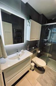伦敦Cozy single room in Clapham的一间带水槽、卫生间和淋浴的浴室