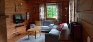HulmiTassutupa的客厅配有沙发和桌子