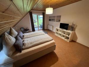 吕丁豪森Hof Dalhaus的一间大卧室,配有一张床和一台电视