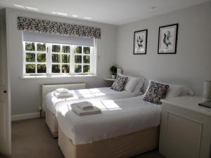 WhitchurchWatership Down Inn的一间卧室设有两张床和窗户。
