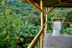 米卡Hostal Vista Verde Minca的森林凉棚上的吊床