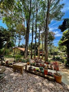 戈亚斯州上帕莱索Vila Amor - Charmosa e Central的花园,种植了木凳和盆栽植物