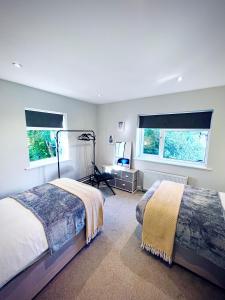赫默尔亨普斯特德Absolutely Beautiful Hemel Hempstead 2-bedroom for 1-5 Guests - contractors welcome的一间卧室设有两张床和两个窗户。