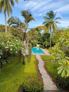马林迪WHITE Nyumba的一个带游泳池和棕榈树的花园