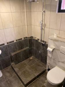 帕拉马里博Hotel RITZZ的带淋浴和卫生间的浴室