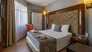 安塔利亚Lara Olympos Hotel的配有一张床和一把椅子的酒店客房