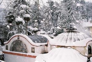 埃利特温泉CAN APART KAPLICA OTEL的一座带凉亭的雪盖房子