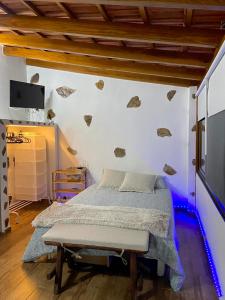 弗龙特拉CASITA LAS VISTAS的卧室配有一张墙上岩石床。