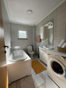 亚伊采Kamenice soba L的一间带水槽和洗衣机的浴室