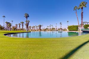 棕榈荒漠Palm Desert Dream的棕榈树高尔夫球场上的池塘