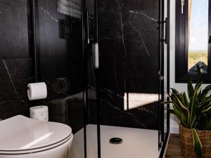 凯尔采Brama Do Lasu - Domek w Koronach Drzew的一间带卫生间和玻璃淋浴间的浴室
