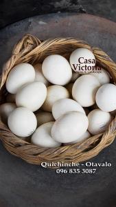 奥塔瓦洛Casa Victoria, habitaciones y zona de camping的桌上装满白鸡蛋的篮子