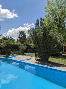 卢汉德库约Quinta Don Benito - Chacras de Coria-的树荫庭院中的游泳池