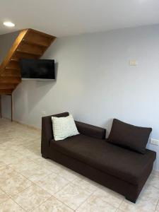 里奥加耶戈斯Mara Patagónica - Apartments的墙上配有电视的棕色沙发