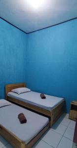 SaonekRaja Ampat Sandy Guest House的蓝色墙壁客房的两张床