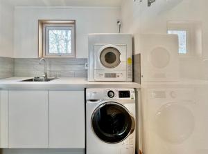 白马村Hakuba Views的厨房配有洗衣机和水槽