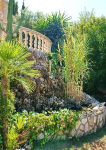 哈维亚Villa Javea的一座拥有石墙和一些植物的花园