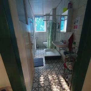因特拉肯New renovated flat in protected chalet的一间带水槽和卫生间的小浴室