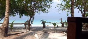 FamMANDAROU HOMESTAY RAJA AMPAT的一片树木繁茂的海滩,一片大海