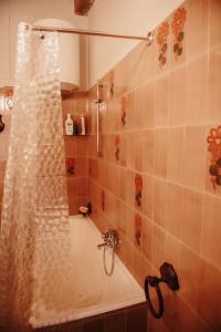 托尔法Palazzetto Pergi的带淋浴和浴缸的浴室