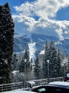 波亚纳布拉索夫皮亚特拉尼马雷酒店的享有雪覆盖的山林美景