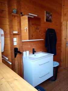 Audruicqchalet audruicquois的小木屋内带水槽的浴室