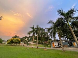 坤西育府Suptara Resort的公园里的一棵棕榈树