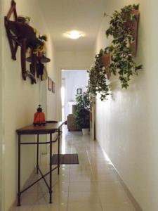 丽都玛里尼Res lido marini的走廊上墙上挂着桌子和植物