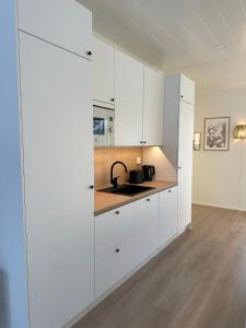 罗瓦涅米Brand New! Villa Moon的厨房配有白色橱柜和水槽