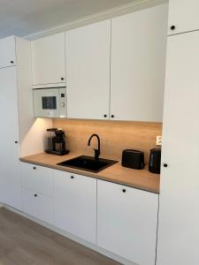罗瓦涅米Brand New! Villa Moon的厨房配有白色橱柜和水槽