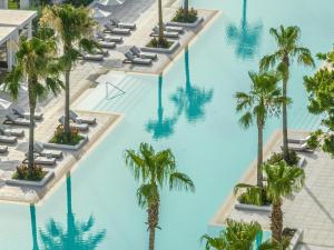 法里拉基Grecotel Lux Me Dama Dama的棕榈树泳池的顶部景色