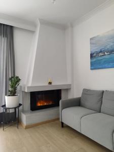 雅典S & K Apartment free indoor parking的带沙发和壁炉的客厅