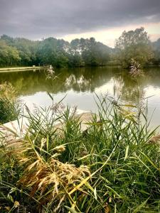 BítovanyPenzion a restaurace U Nováků的享有湖面上草地的景色