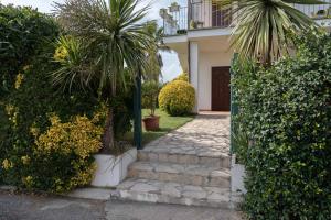 坎帕尼亚诺·迪罗马Residenza Lucia的棕榈树和石头走道的房子