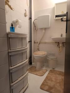 扎耶查尔Apartman 019的一间带卫生间和水槽的小浴室