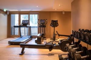盖洛斯雪绒花公寓式酒店的一间健身房,里面设有数个健身器材