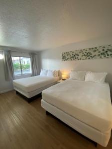 基西米Beautiful Room Near Disney/Universal & I-Drive的带窗户的客房内的2张白色床
