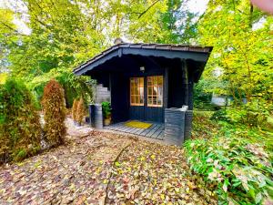 施朗根巴特Tiny Haus Glamping - Natur Park的院子内有蓝色门的小房子