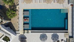 克洛瓦斯亚历山德罗米科诺斯酒店的大型游泳池的顶部景色