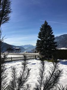 奥西阿赫Ferienhaus Lechner的雪覆盖的院子,有树和栅栏