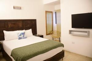 圣塔芭芭拉-山美纳Hostal Marina Samana的一间卧室配有一张床和一台平面电视