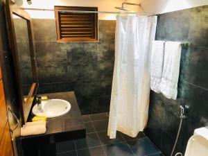 丹不拉丹布拉石拱门住宿加早餐旅馆的一间带水槽和淋浴帘的浴室