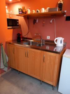 MoorveldDe Hagendoorn的厨房配有水槽和微波炉