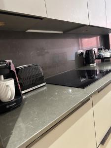 伦敦Richardson Deluxe Apartments的厨房配有带烤面包机的台面
