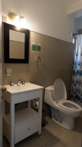 里瓦达维亚海军准将城Hotel Urbano Ventia的一间带卫生间、水槽和镜子的浴室