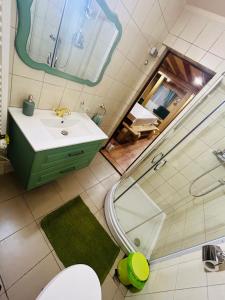 BudureasaCabana Verde的一间带水槽和淋浴的浴室