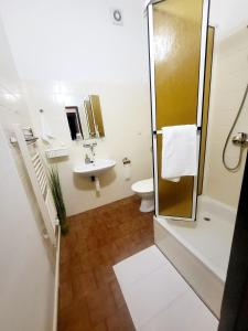 尼萨河畔亚布洛内茨巴扎卡旅馆的带淋浴、盥洗盆和卫生间的浴室